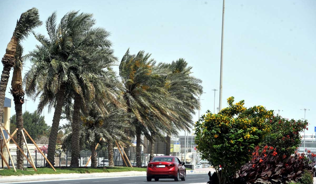Windy and slightly dusty weather is expected this weekend according to QMD